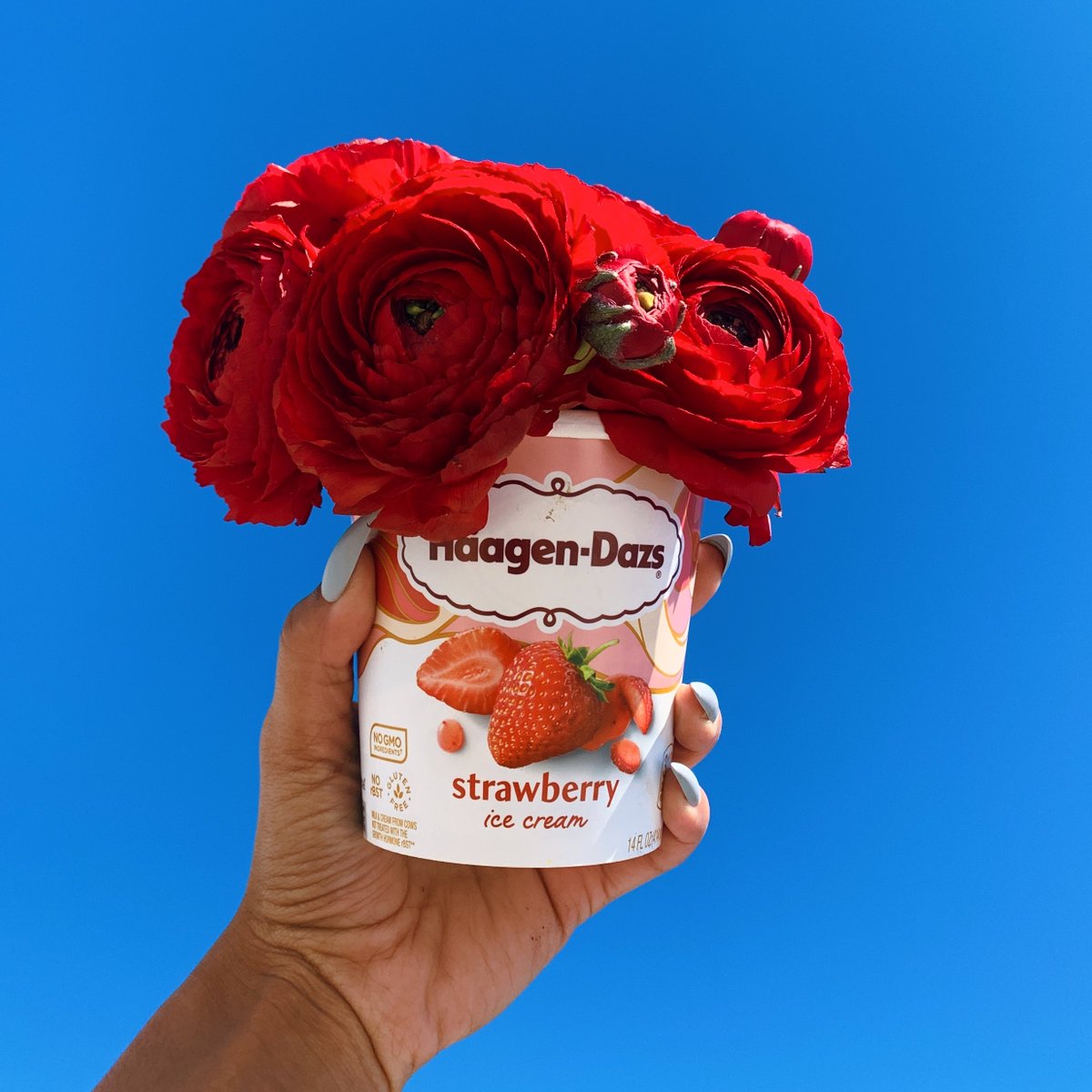 HaagenDazs_US's tweet photo. This July, celebrate #NationalIceCreamMonth with us.π¨ The sky's the limit βοΈπΉ #ThatsDazs #LuxuryIsWhereYouAre https://t.co/jhLpli9tEA