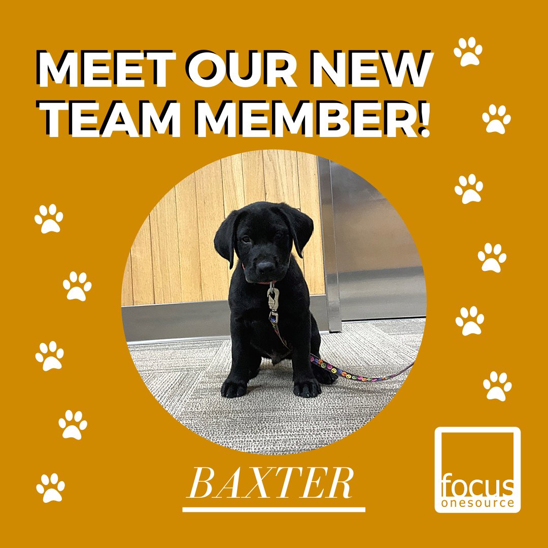 We added a furry friend to the Focus OneSource family!