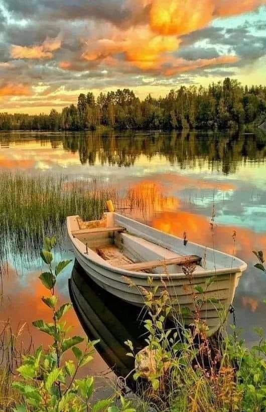 A beautiful night