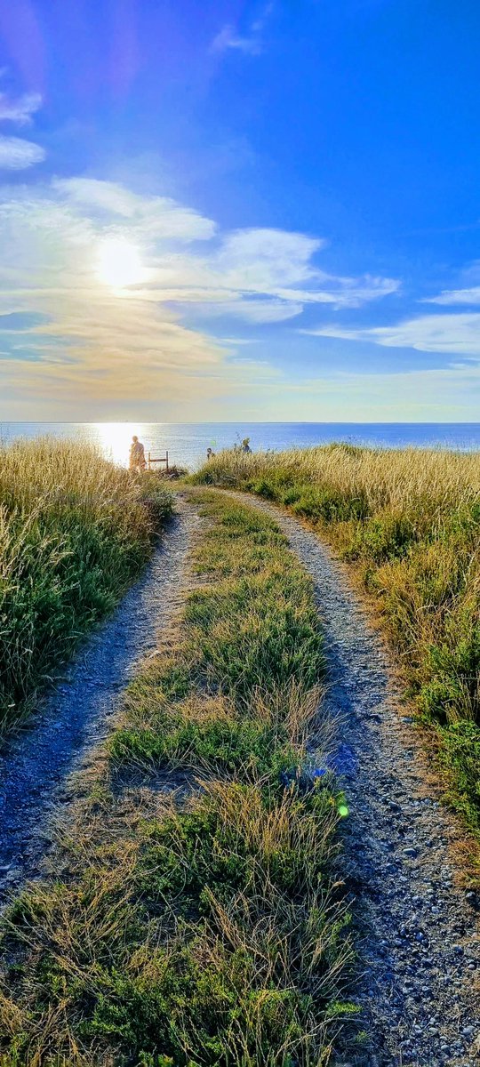 Öland i mitt hjärta