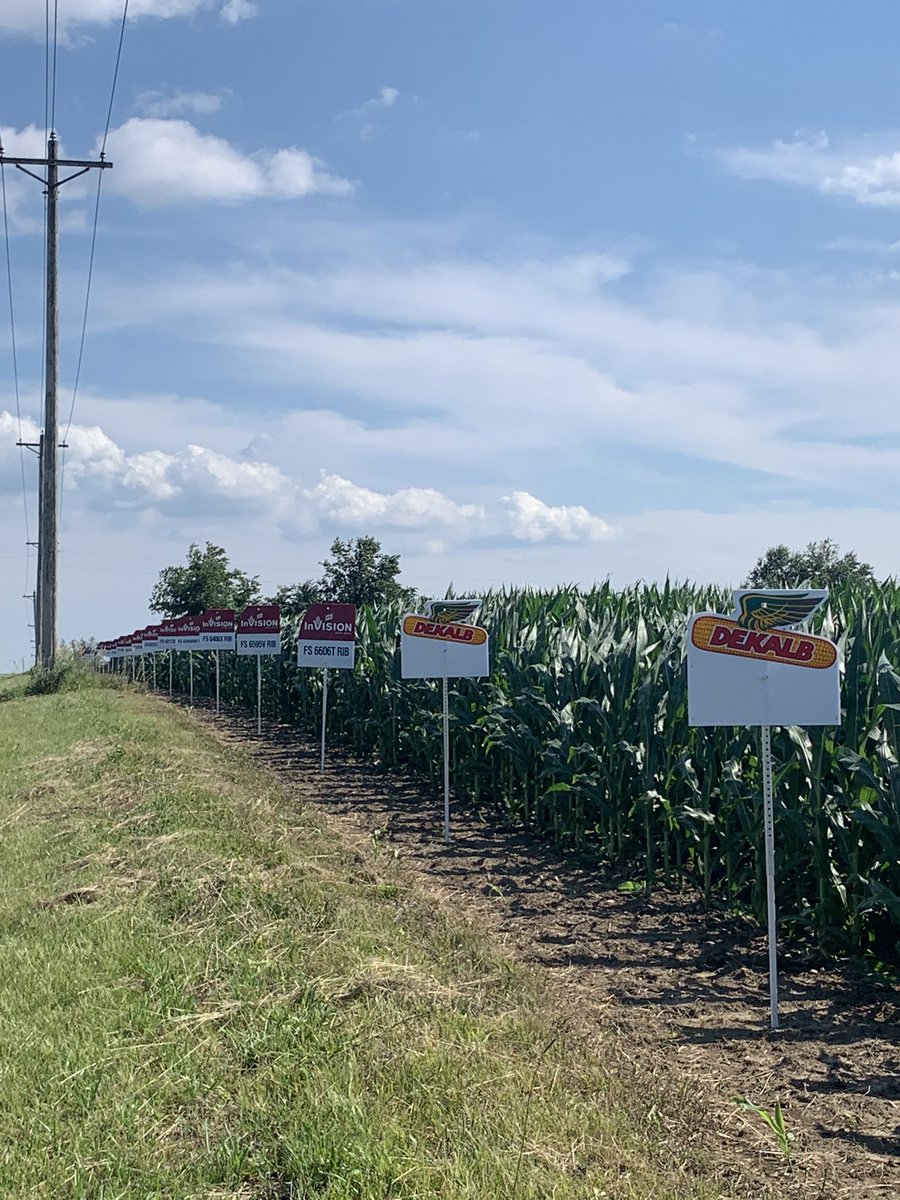 KarlFasse's tweet photo. Busy day of “decorating” ahead of the holiday weekend. Thanks to @maberle91 for lunch! #Happy4th @InVISION_HiSOY  @evergreenfsinc https://t.co/sN1rnsWmtj
