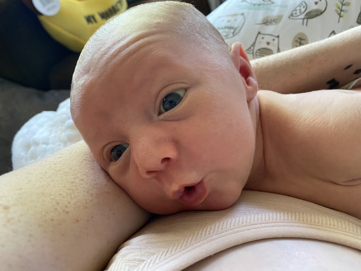 MadameToadstool's tweet image. I need you all to see how cute my kid is #2weeksold