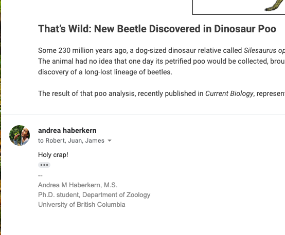 The_Bug_Girl's tweet photo. I'm just over here entertaining myself while I write #nerdpun #science #Entomology https://t.co/adi2FJv4VU