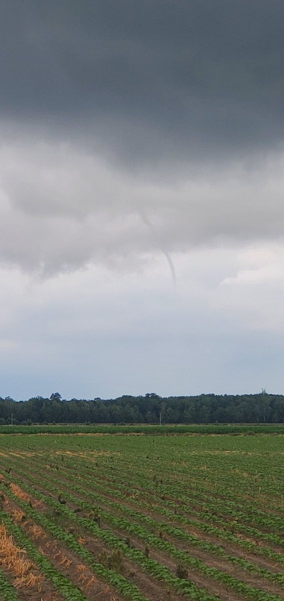 1loudx's tweet photo. @ryanvaughan Spotted this just west of Mr ts looking towards paragould https://t.co/jahrL9LnqN