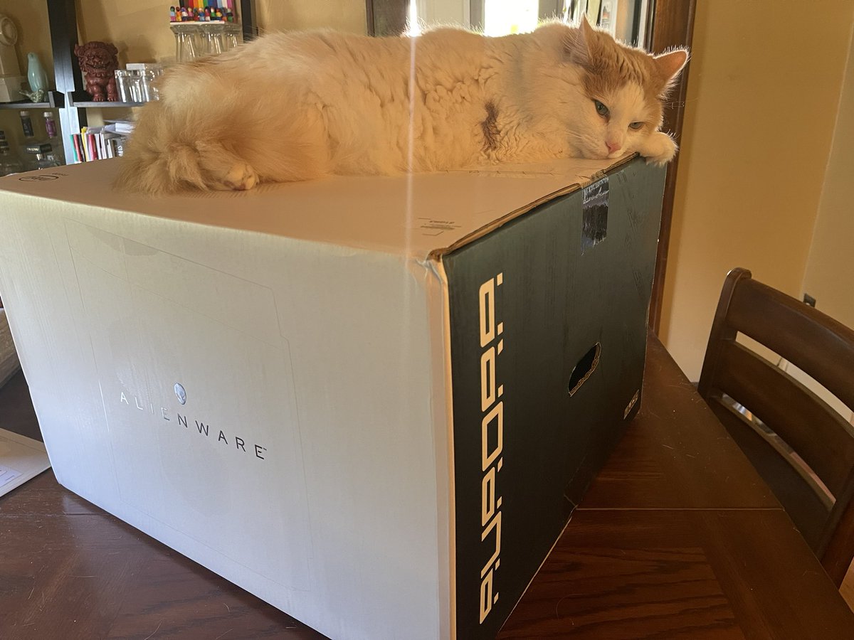 simmunky's tweet photo. Finnick clearly doesnโt understand how excited he should be right now. #gaymer #futureyoutuber #alienware #waitingfortherestofmyrig https://t.co/RS7s3ovCCb