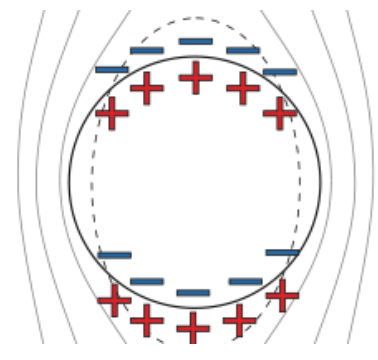 BppbSeminar's tweet photo. #BPPBSeminar Fri July 2 at 8 am PDT/11am EDT/5 pm in central Europe/8:30 pm in New Delhi.

Tutorial Talk: Electromechanics of biomembranes
and
Research Talk: Giant vesicles in electric fields
- Petia Vlahovska https://t.co/buwXybJnxZ