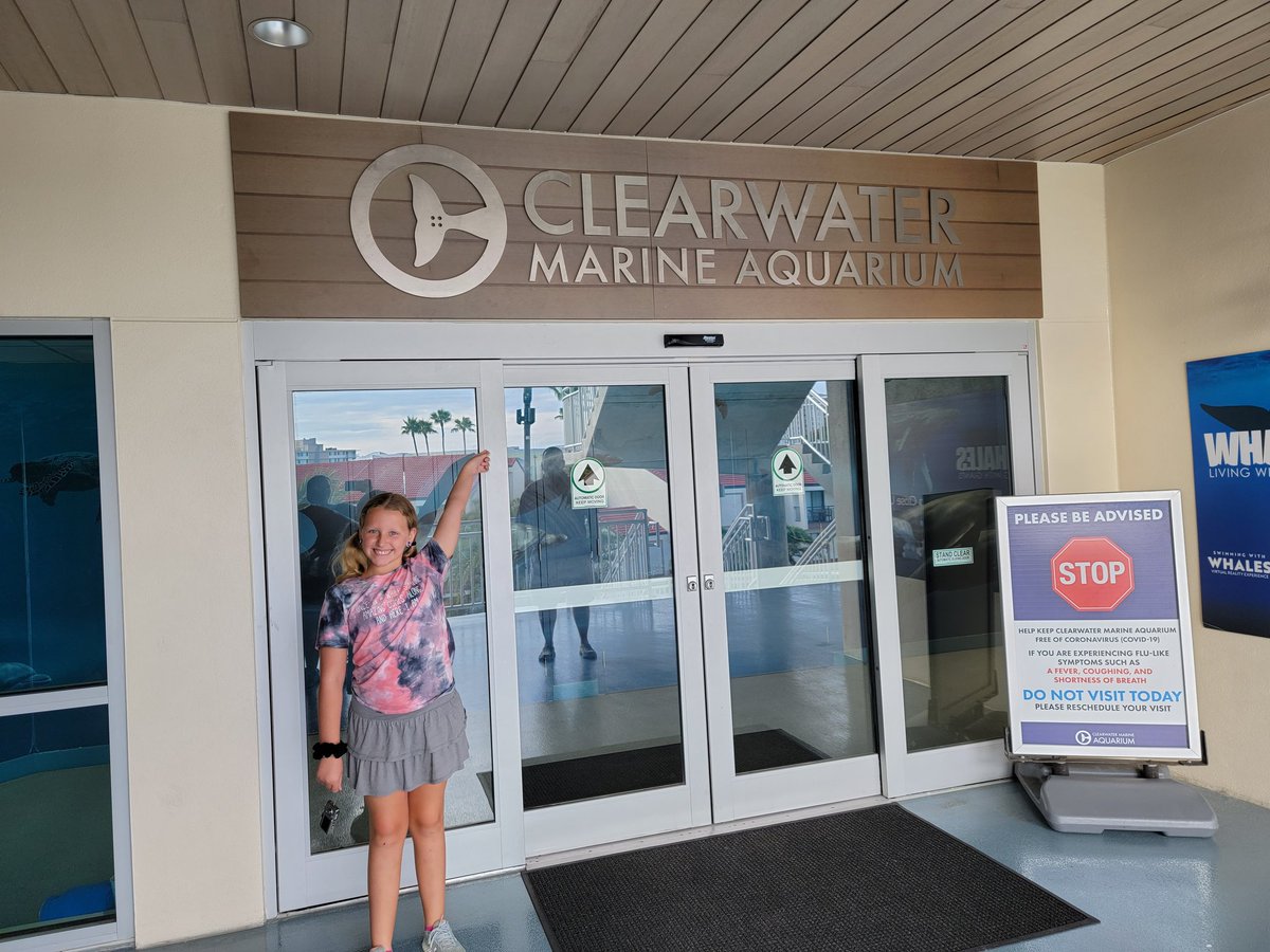 miranda_getz's tweet photo. Delaney's lifelong dream of making it to Clearwater Marine Aquarium finally happened (only a few years in the making thanks to COVID)! Now to one day become a dolphin trainer at CMA. #CMA #followyourdreams #TMGenius #WMSWildcat https://t.co/Op9InymTjg