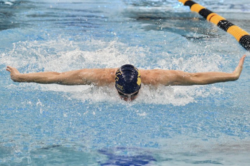 dsnid21's tweet photo. @stoolpresidente You need a swimmer on your roster! West Virginia Native🙌🏻 #BarstoolAthlete https://t.co/20L9g8lFLE