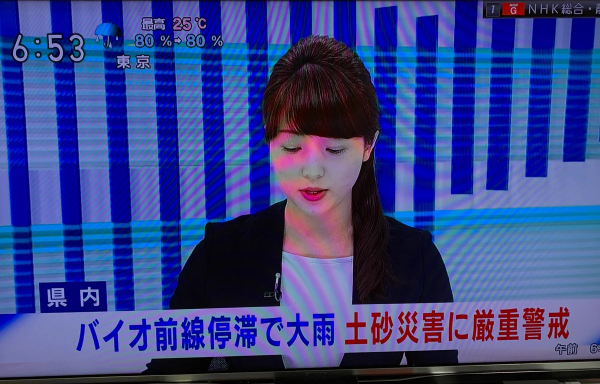NHKのニュースで！静岡県内「バイオ前線停滞で大雨」になってしまう…