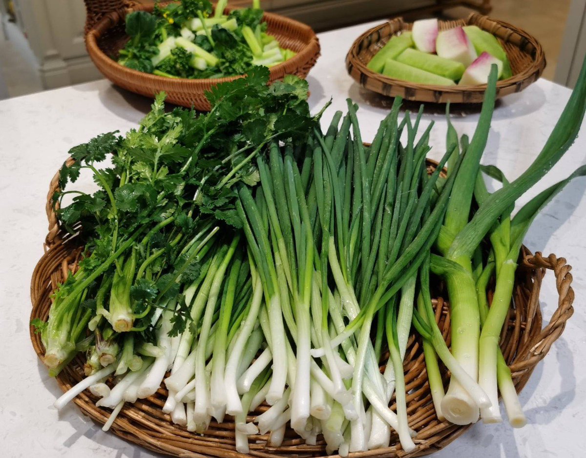 LIsULrbI4lm8hwd's tweet image. 