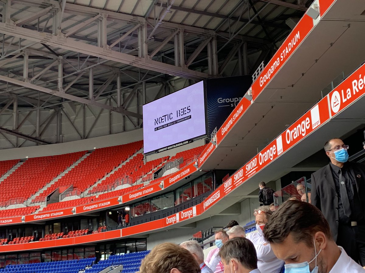 Noetic Bees tweet media