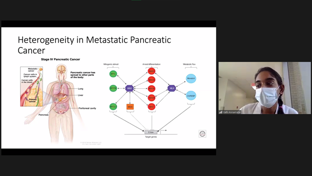 UTSW STARS Program tweet media