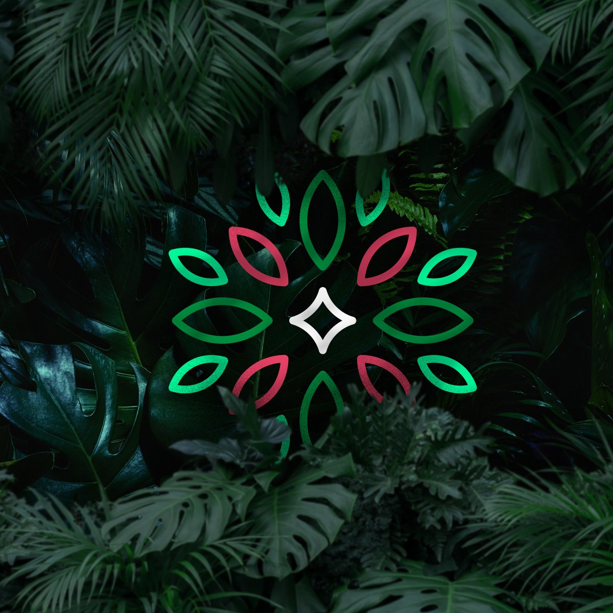 Safeforest2021's tweet photo. SafeForest is a digital currency that, in many ways, offsets the damage done by traditional financial systems and distributes it to community-chosen causes and in rewards to its holders. 

#SafeForest #SFTCoin #Crypto #Conservation #SafeForestArmy #ChopFUDNotTrees #GreenCrypto https://t.co/IggL1Oh7eo
