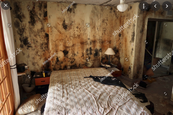 UptownNazi's tweet photo. No matter what anyone says, I only rent the top quality apartments, like this one!  Don't forget, #NoJusticeNoLease https://t.co/B1niocx5nR
