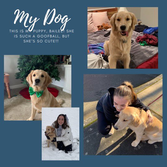 Oregon DECA tweet media