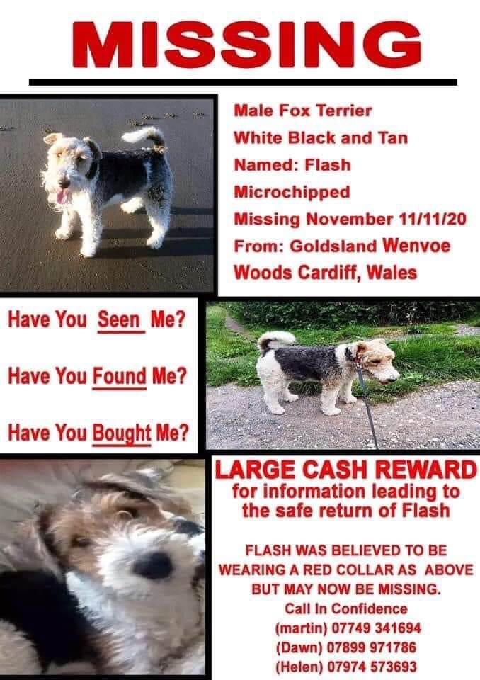 KarenFi51820768's tweet photo. PLEASE JOIN IN #WalkForFlash 10th 11th July please see below more details here https://t.co/lgjRCcEoSh #RT help #FindFlash https://t.co/ToDELwpOyB