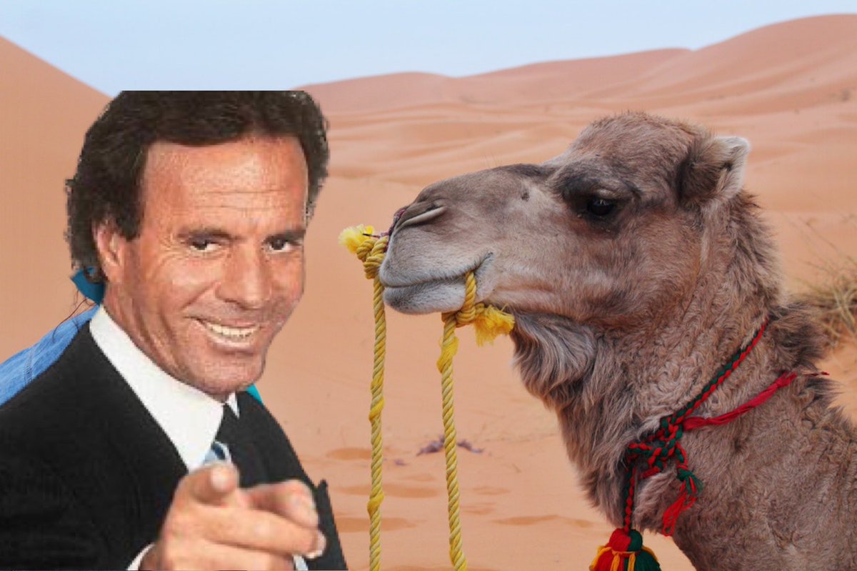 Kowucol's tweet photo. ¡Que se venga un Julio de mucho camello! 🐪

#FelizJueves #Julio #colombia https://t.co/gFe5gUcC3d
