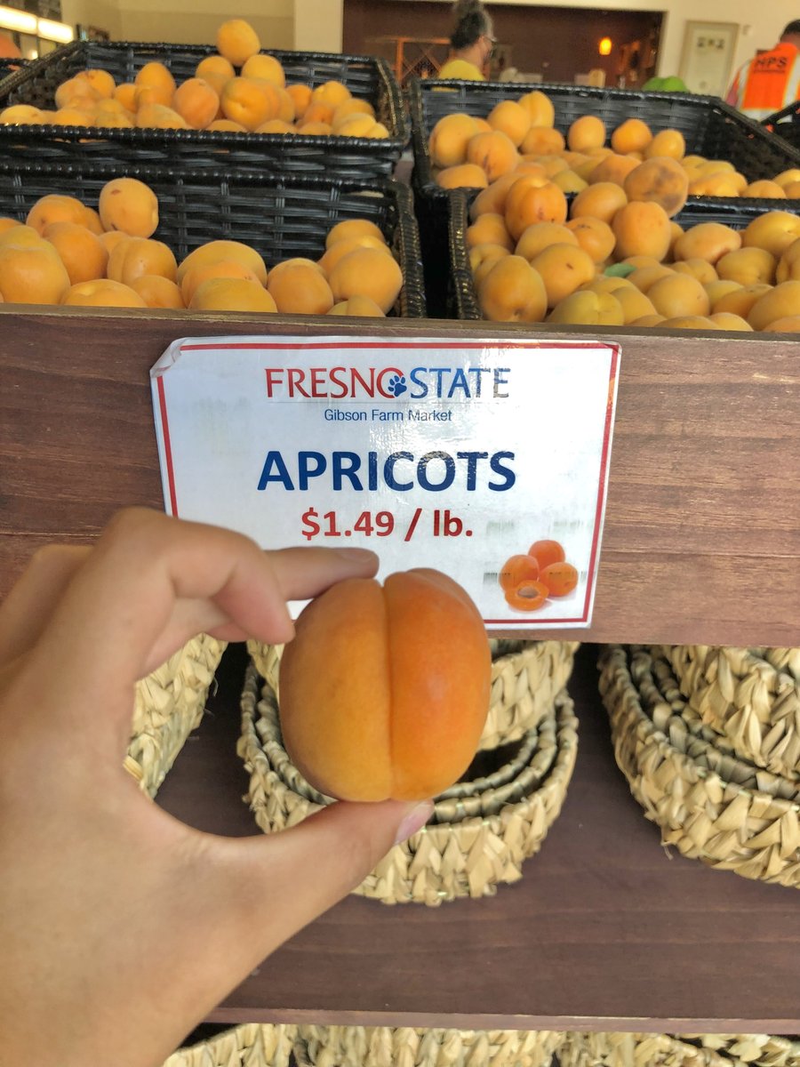 Good news! Apricots are back! Stop by today and get some before they’re gone 😊