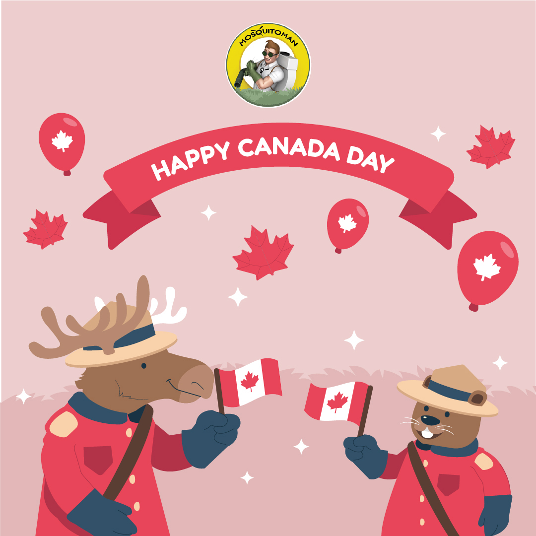 Mosquitomanca's tweet photo. Did you know?

Canada was formally established on July 1, 1867, it did not achieve total independence from British authority until 1982. Dominion Day was the original name for Canada Day. https://t.co/T8nHP8HIXP