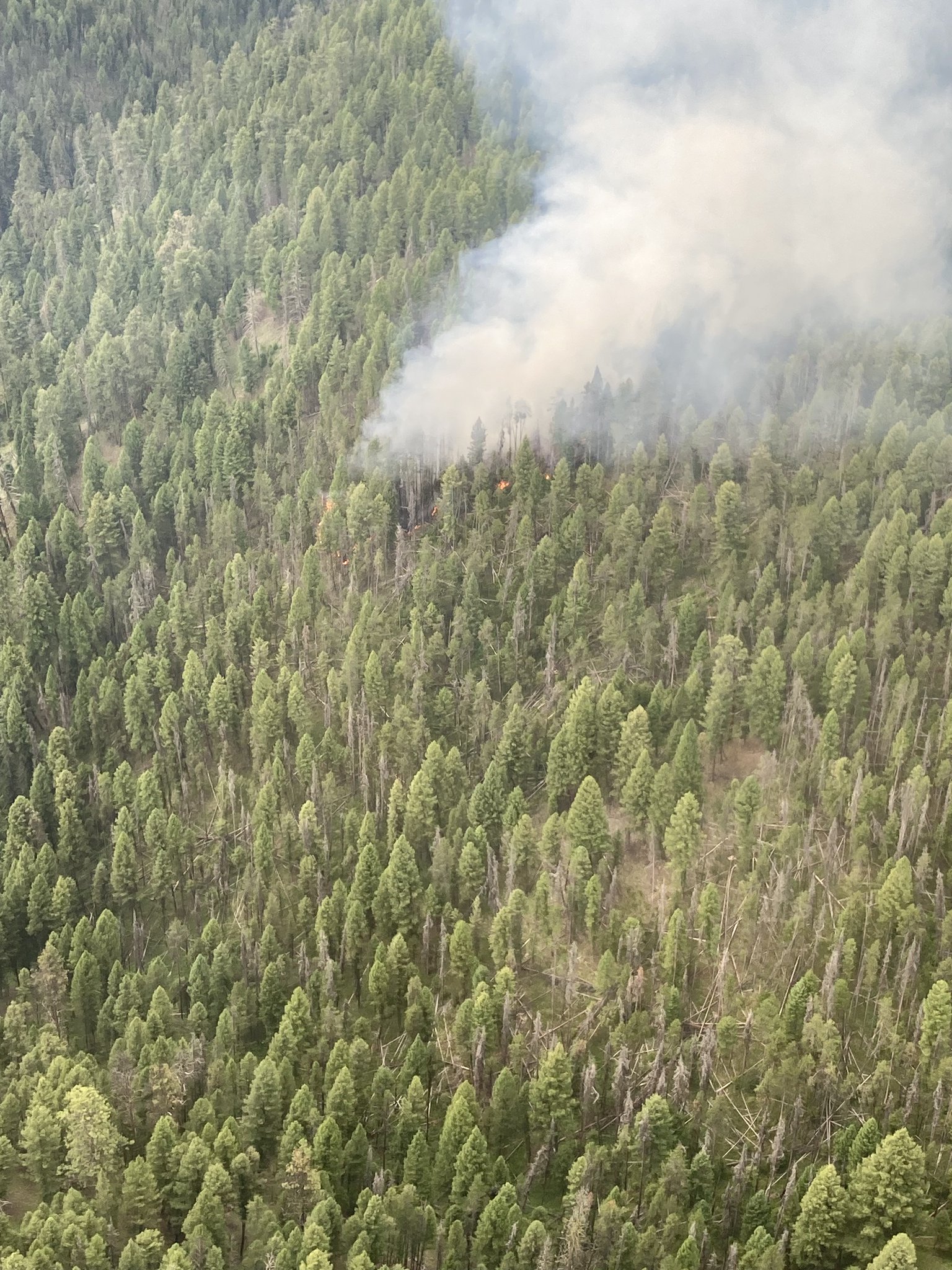 SalmonChallis NF on Twitter "A new fire was detected on North Fork RD