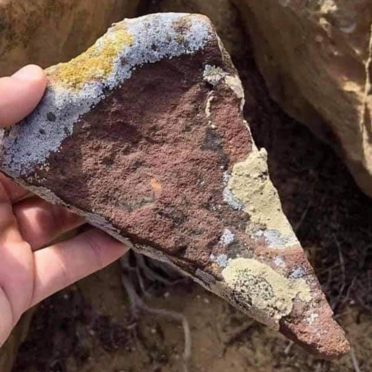 PalaeoPictures's tweet image. 😂😂😂fossil pizza anyone? I think I know the shop that made this one!
@whydinosaurs Fossilized pizza from the CRUSTaceous period. Thanks to @khallam_uk for sharing! Artist unknown.
#fossil #rockhound #fossillovers #fossils #prehistoric #paleontology #fossilhunter #palaeontology