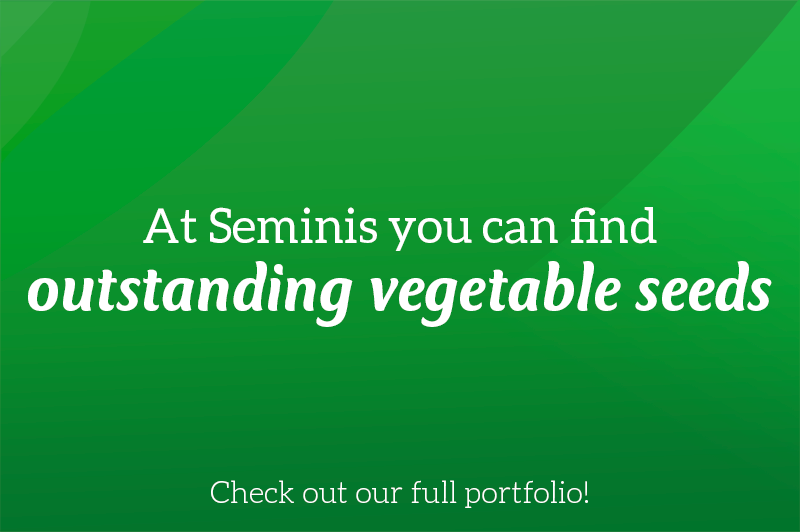 SeminisSeeds's tweet photo. We work hard every day to empower growers by offering improved vegetable seeds and providing solutions for local challenges. Find our full portfolio here: https://t.co/vETmHyVuph. https://t.co/g0z25zIKR2