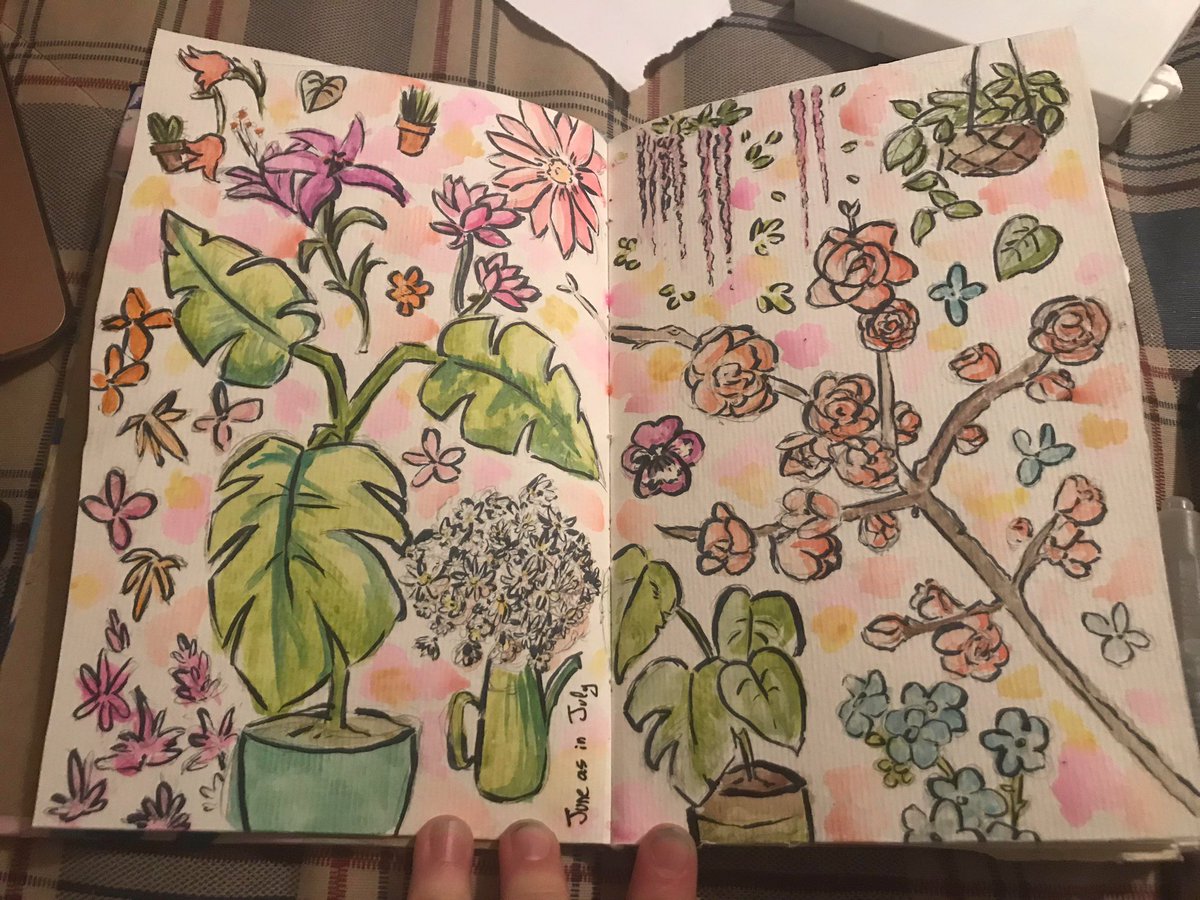 I finished my plant study!