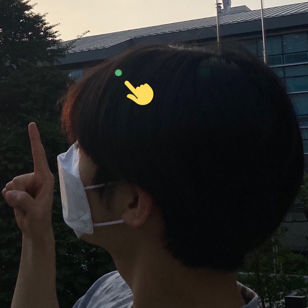 cutepuppyes's tweet photo. 안 그래도 동글동글한데 저 연두색 동그라미가 뻘하게 넘 귀여움ㅋㅋㅋㅋㅋ https://t.co/kpVvVpau3W
