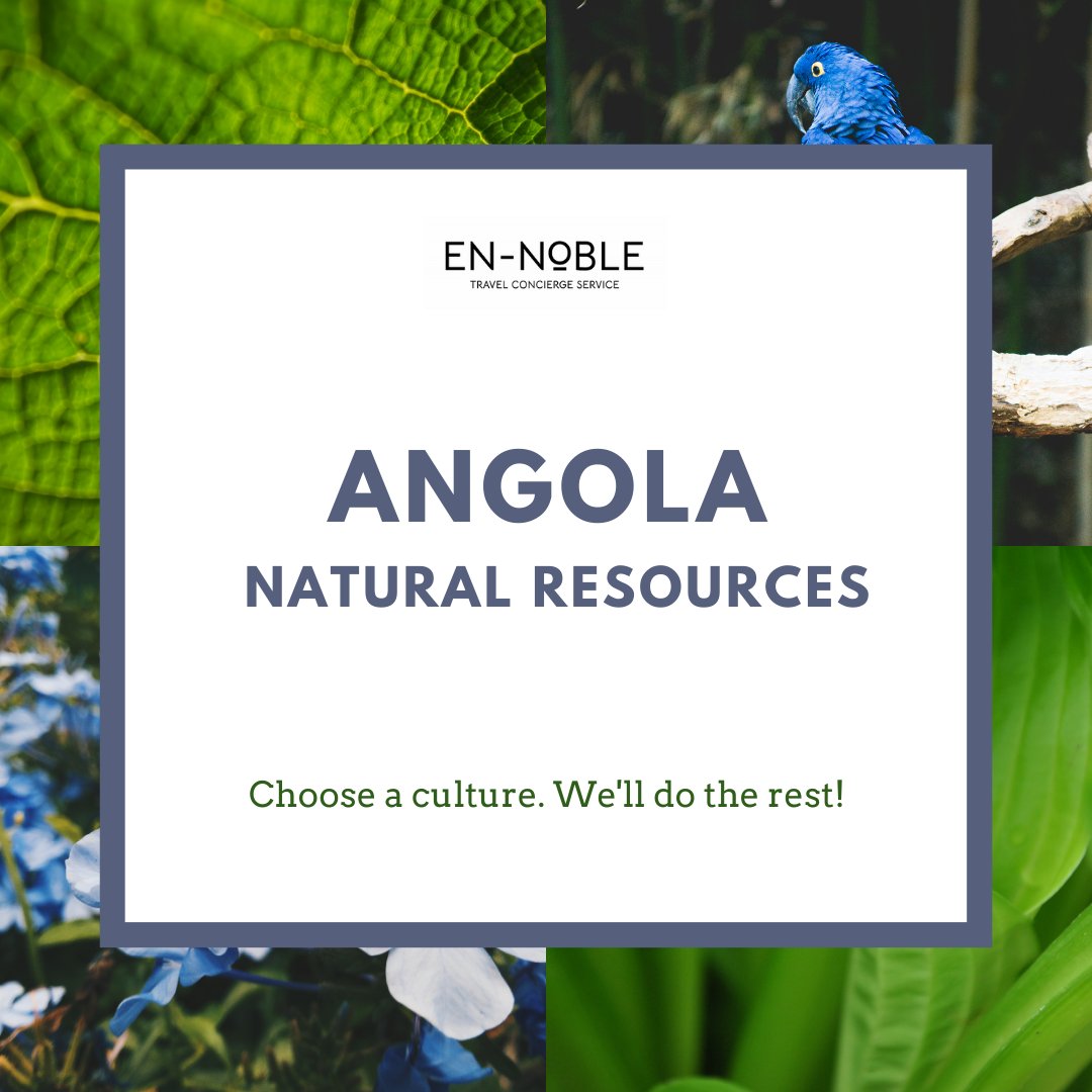 EN-NOBLE tweet media