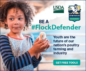 WVDeptofAg's tweet photo. Youth are the future of our nation’s poultry farming. We are proud to partner with @USDA to support the #FlockDefender outreach campaign, which provides free resources to educate young poultry owners on good biosecurity. Learn more at: https://t.co/siPtLrv5NP. https://t.co/ntmzTLqg1k