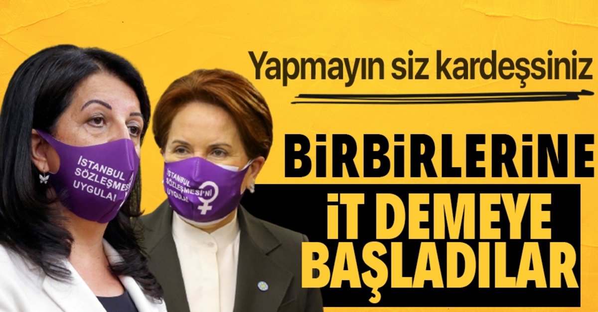 @onderdayi43 @Pirdelii53 @Baberti5 Kanun Çıkınca bunlar birbirine bu İT kelimesini kullanamayacakmı ?