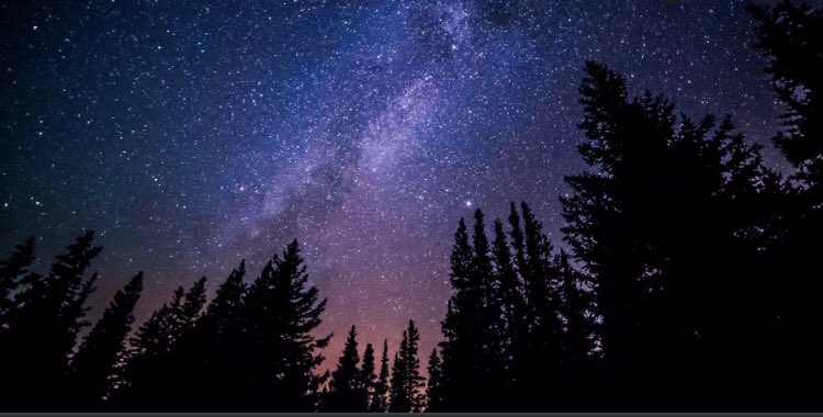 incorrectJP's tweet image. Good night everyone! Tonight i’m going to sleep under the stars to make sure all my wishes come true