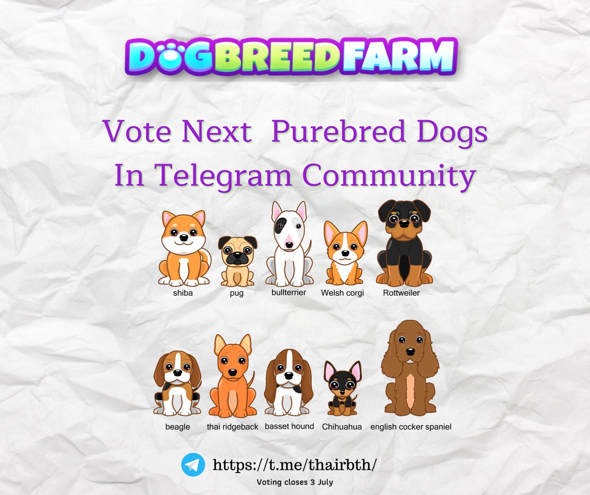 ThairidgebackC's tweet photo. Vote Next Purebred Dogs
In Telegram Community

Thailand Group :  https://t.co/3Mk37GnkIo

#DogBreedFarm #NFTCommunity #ThaiRB #NFTs https://t.co/9v9RCvRnzI