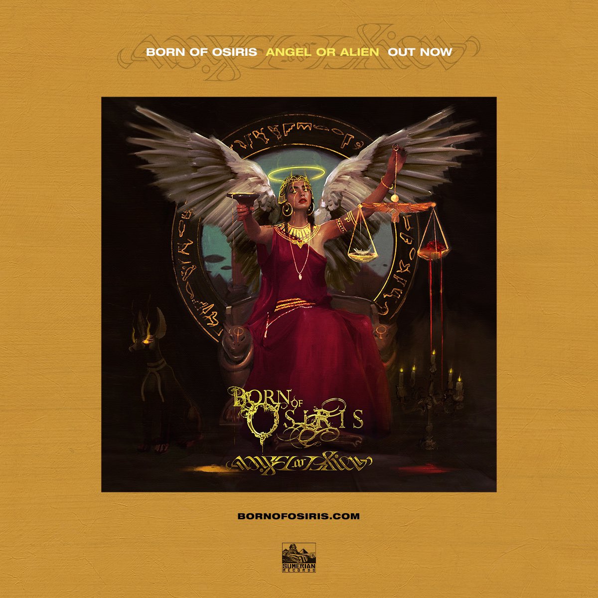 BOOOfficial's tweet image. Angel or Alien is OUT NOW!! 👼👽 We also have a new music video for “Poster Child” Click the links below!👇 

Stream/download Angel or Alien: smarturl.it/angeloralien

Poster Child music video: youtu.be/fIV0rqkC21Y

CDs/vinyl/merch: bornofosiris.com