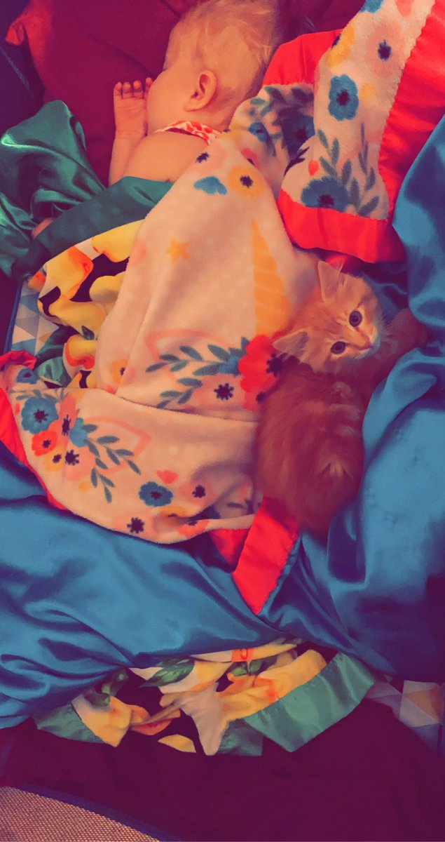 I mean I’d definitely rather her have a dog but i guess if this damn cat makes her happy that’s cool too