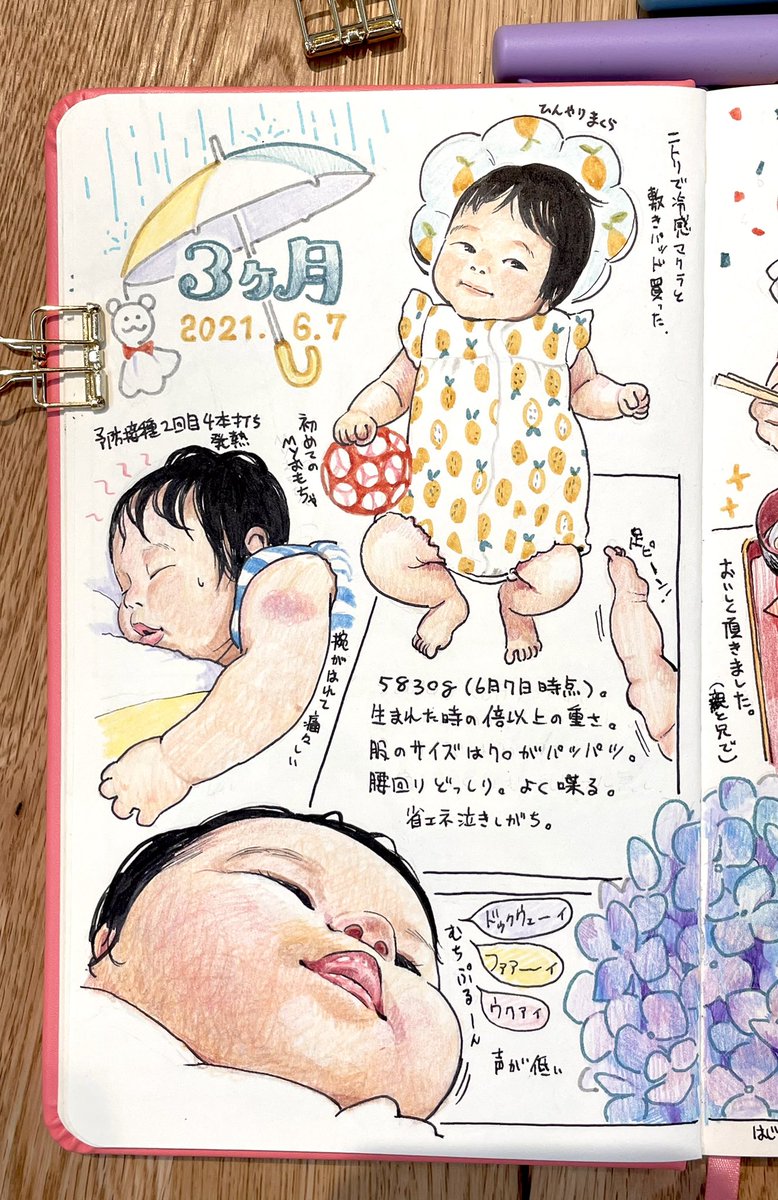 娘、3ヶ月の記録✍️。 全然泣かない子だと思ってたら、最近すごく赤ちゃんらしく声張って泣くようになった。変化が目まぐるしい。 あと少しで4ヶ月🙌。 #育児日記