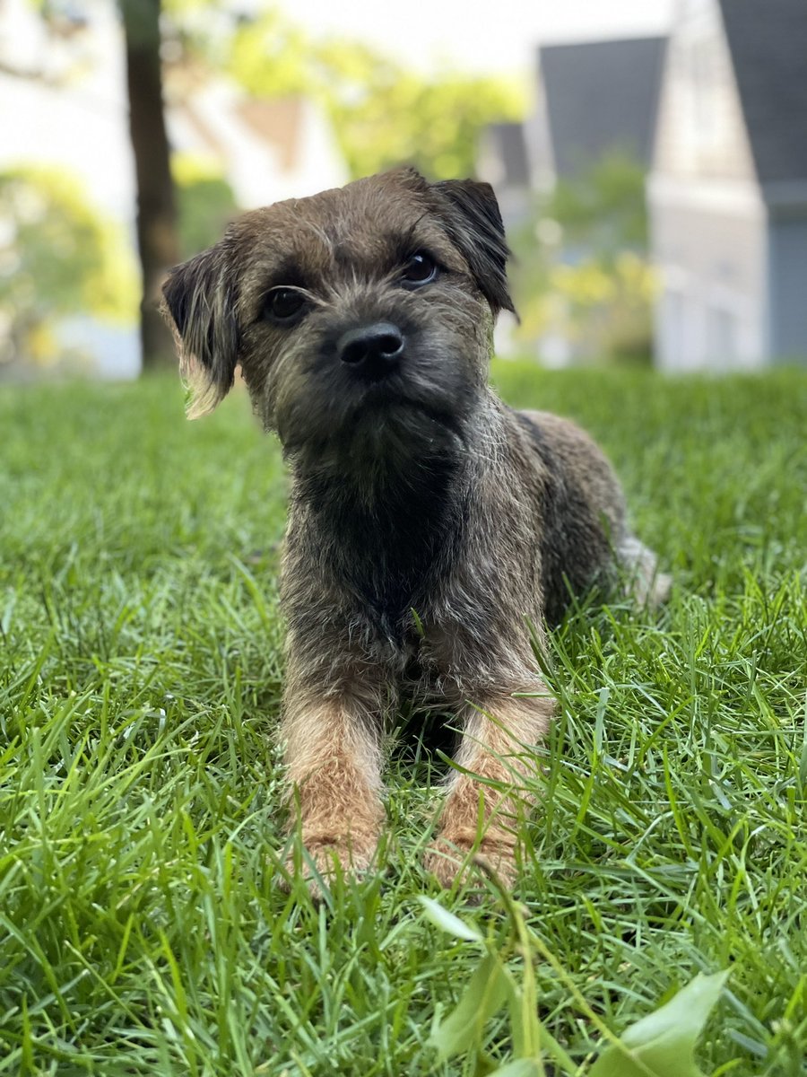 Happy birfday to meeee! 💕