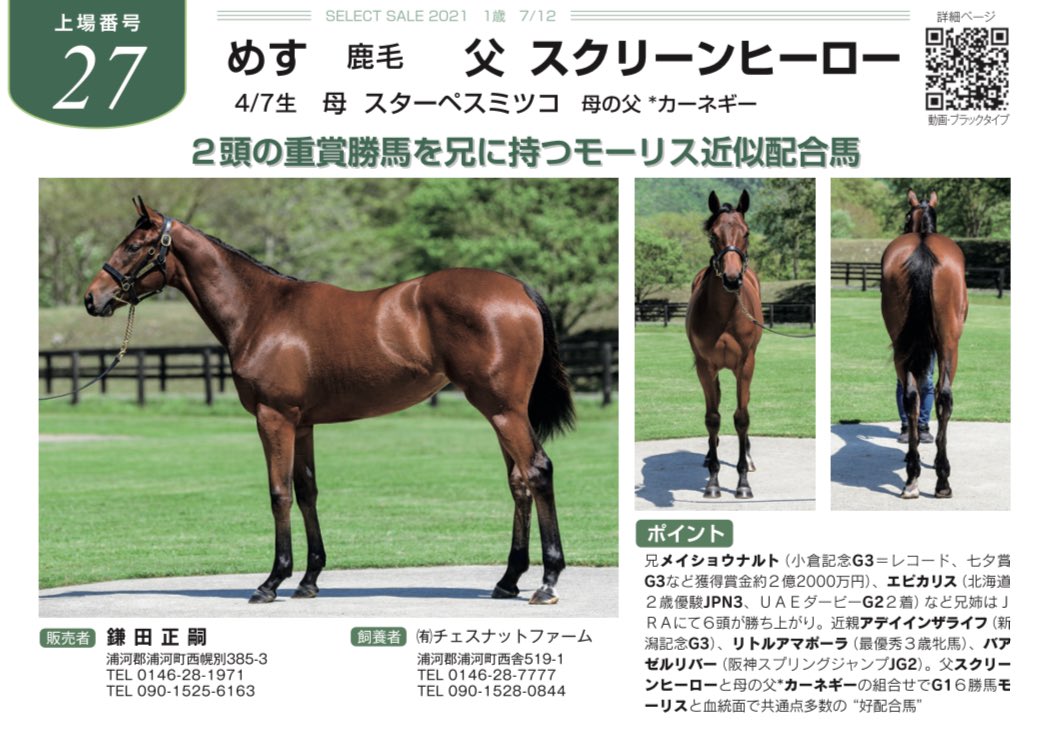 株式会社 ジェイエス アロースタッド フューチュリティ特別号 セレクトセール21上場馬紹介 No 27 スターペスミツコの 父 スクリーンヒーロー この馬の詳細 T Co Pdb3pttkwn 一覧 T Co Khbthz6hbg ジェイエス セレクト 株式会社 ジェイエス アロースタッド フューチュリティ特別号 セレクトセール21上場馬紹介 No 27 スターペスミツコの 父 スクリーンヒーロー この馬の詳細 T Co Pdb3pttkwn 一覧 T Co Khbthz6hbg ジェイエス セレクト
