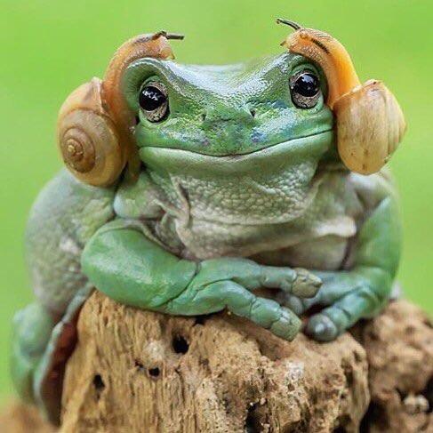 #FavePhotoFriday 😍