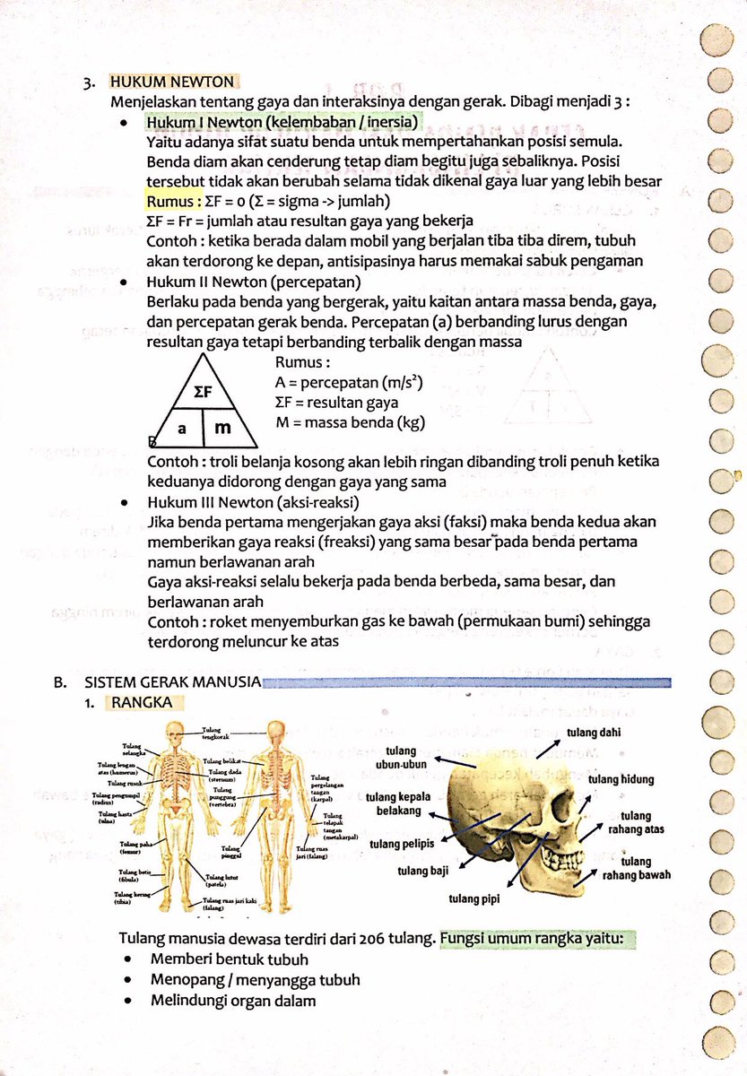 studienn's tweet image. ★ catatan ipa kelas 8 ★
materi : bab 1, gerak benda dan makhluk hidup
source : buku paket bhs indonesia