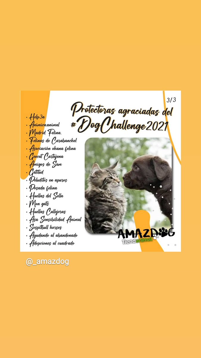 amazdog's tweet photo. https://t.co/t320T7C11d