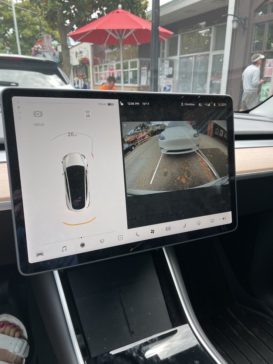 cgrims's tweet image. When you accidentally try to get in the wrong white model Y parked in Magnolia Village…
