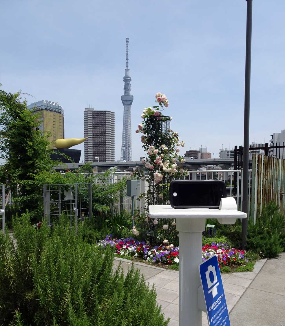 ◉真作保証◉はりたつお◉春の隅田川と東京スカイツリー◉24/300 サイン有り◉ ◉真作保証◉はりたつお◉春の隅田川と東京スカイツリー◉24/300