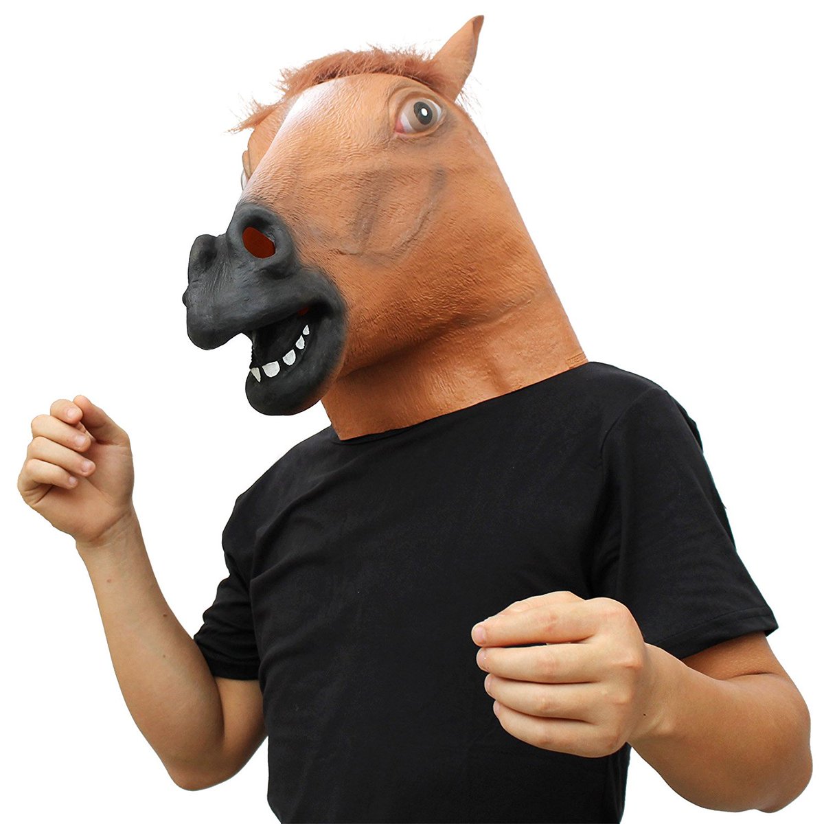 MustardGuy4's tweet photo. Horse time https://t.co/eSmVBJNQBF