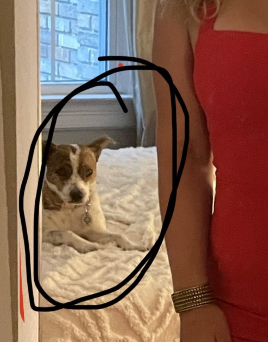 anya__alvarez's tweet photo. Ruthie does not approve of my outfit … she’s judgements AF https://t.co/Cfy58jDQ0R