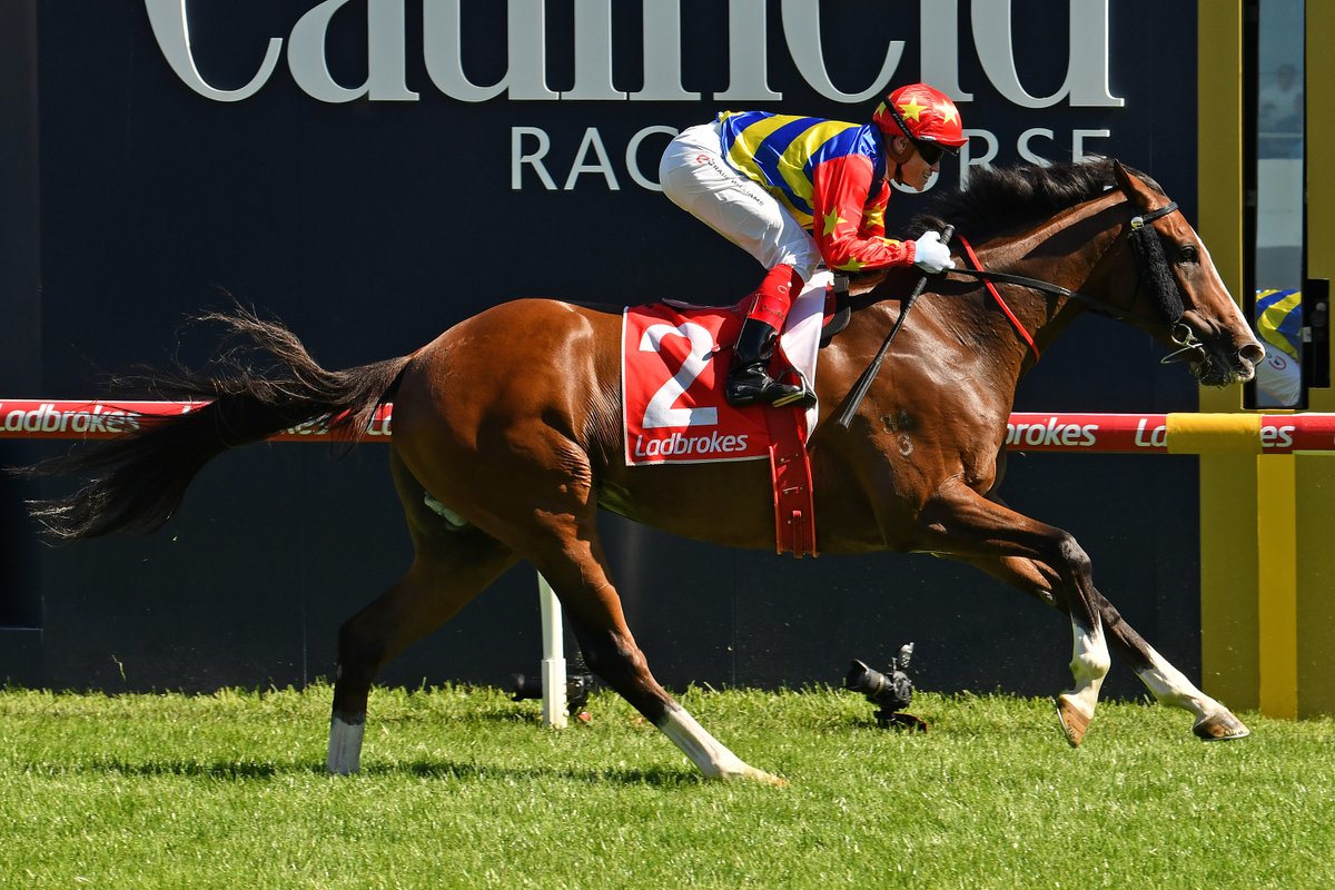 Consistent gelding #Odeon has been targeted at the Listed Winter Championship Series Final and @ellertonzahra are confident the son of Zacinto will deliver a strong showing.
racingnews.co.nz/odeon-primed-f…