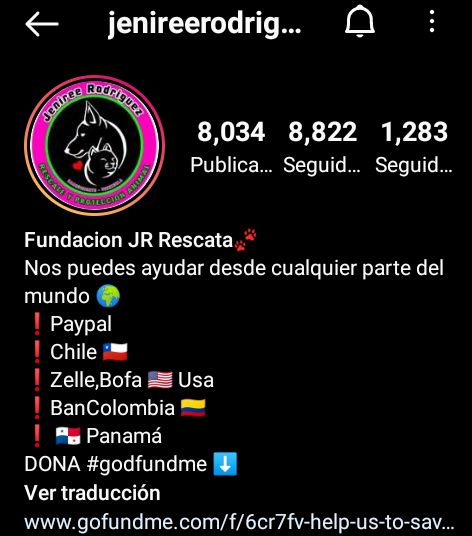Andre_ina5's tweet photo. En Barquisimeto por la cuenta de Instagram de la proteccionista @jenireerodriguezrescata , tiene demasiados casos muy graves de animales que necesitan ayuda urgente, ella no cuenta dinero para que sean tratados y solicita ayuda. 🙏 @PerroUsuario @apoyocanino @prinzzestter https://t.co/gzklWhkPKg