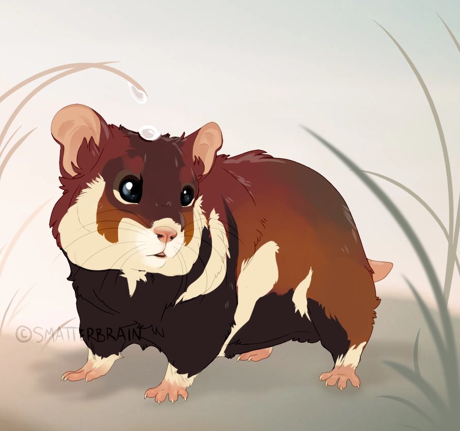 ToadaIIy's tweet image. Candytuft