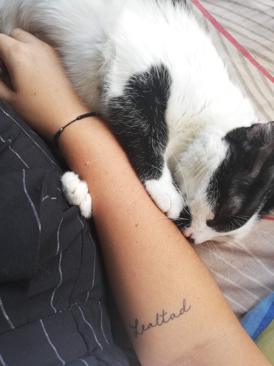 MVictoria_RV's tweet photo. Hoy son diez años compartiendo la vida con Dulci. 😻 https://t.co/ec7nYXpatv
