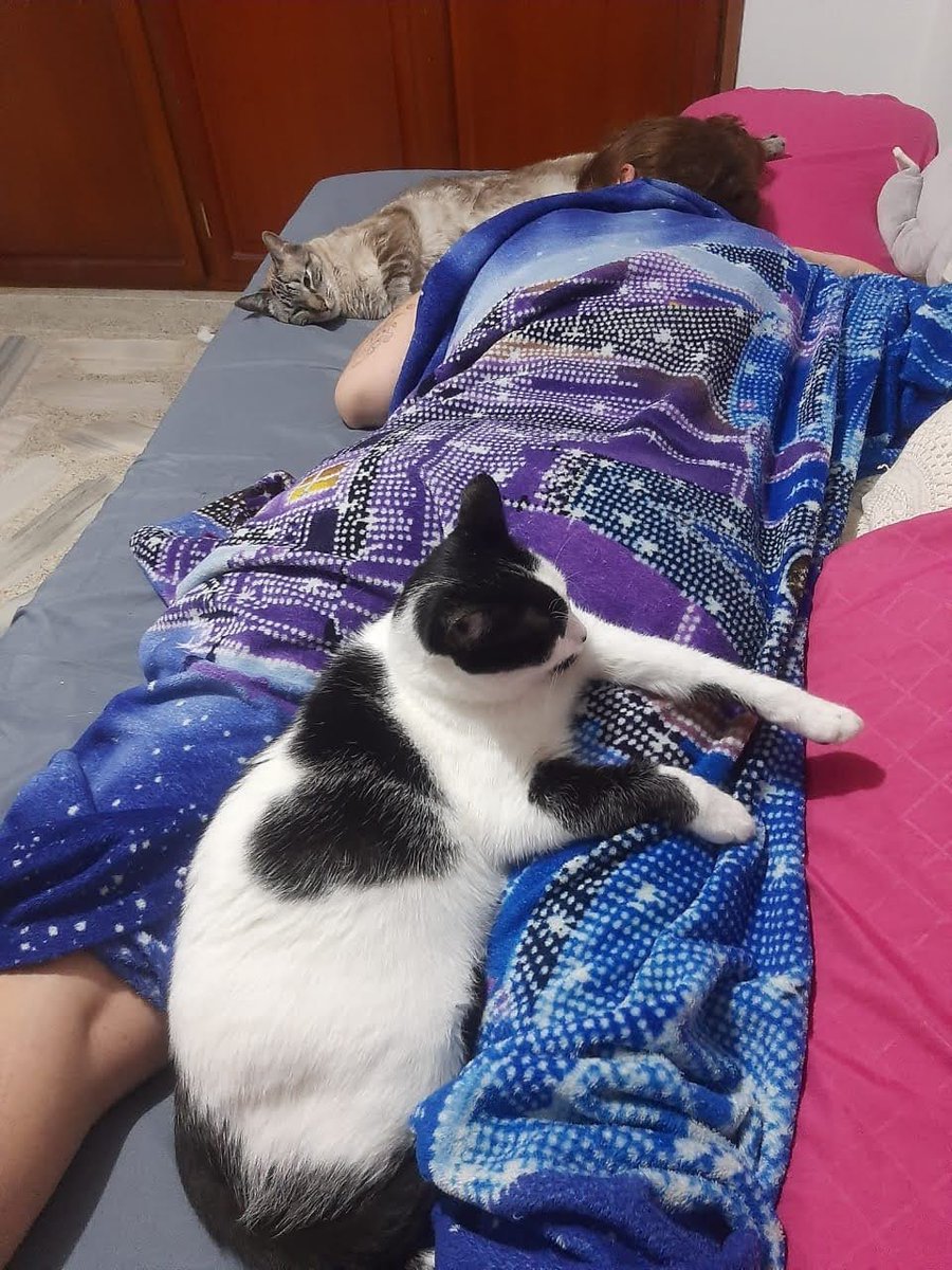 MVictoria_RV's tweet photo. Hoy son diez años compartiendo la vida con Dulci. 😻 https://t.co/ec7nYXpatv